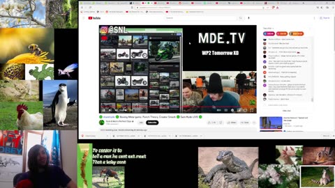 The Five 3/13/2023 MESSY Watchalong