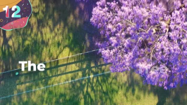 TOP 15 STUNNING and BEAUTIFUL Trees