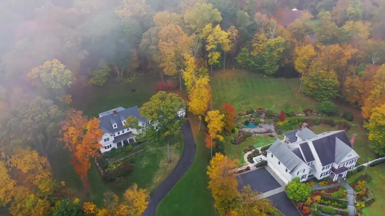 Enchanting Autumn Forests with Beautiful Piano Music