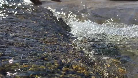 7/19 - Praia do Fayet: O destino perfeito para relaxar em Governador Celso Ramos