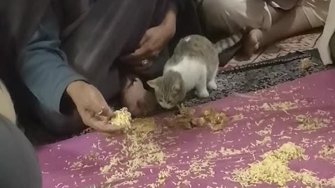 Poor men eating with cat in ramadan