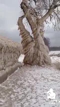 Canda freezing weather, this can't be normal