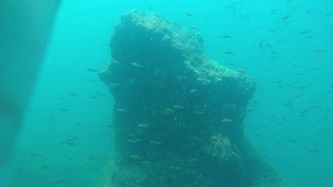 fishes underwater(sea) in thailnad