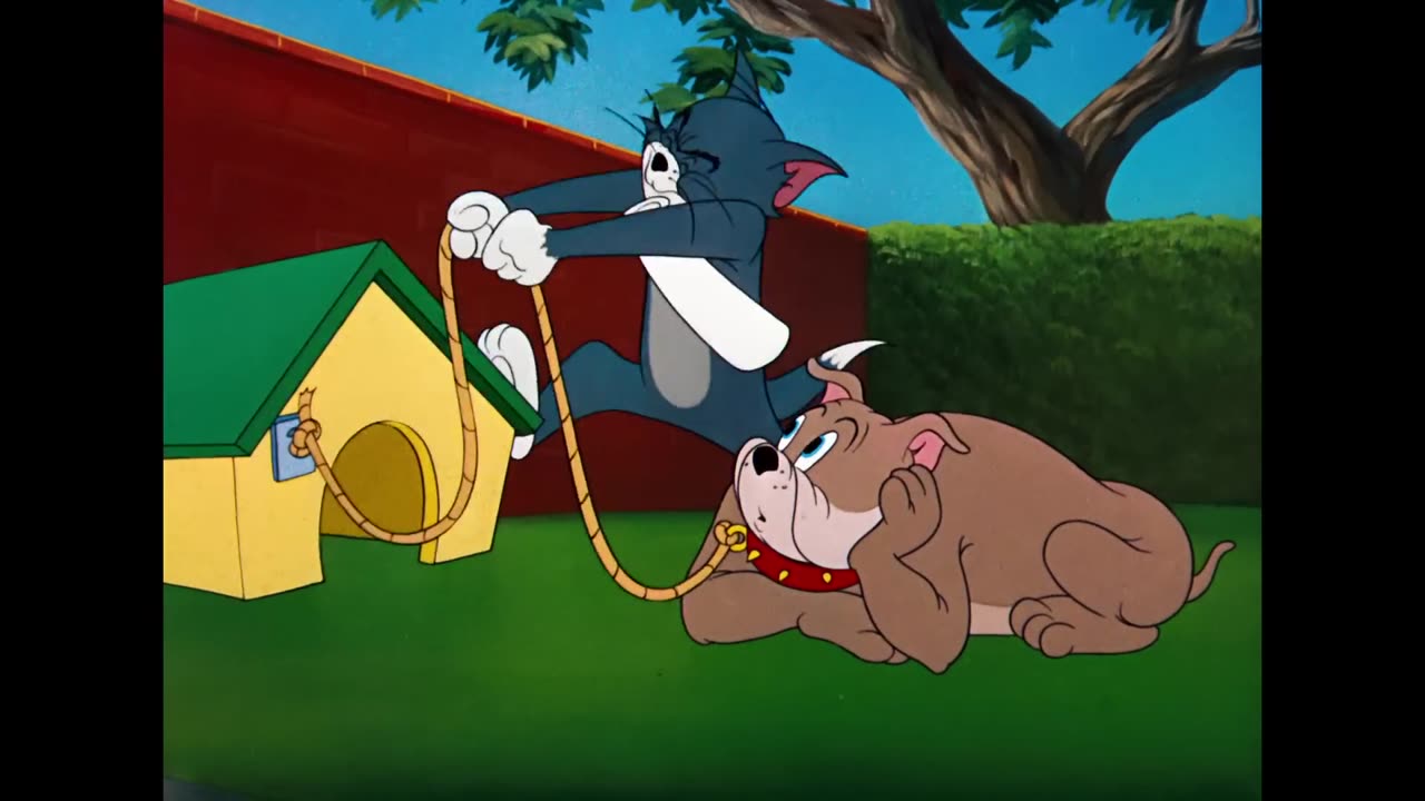 Tom & Jerry