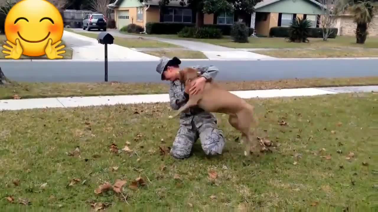 Dog met her owner after years