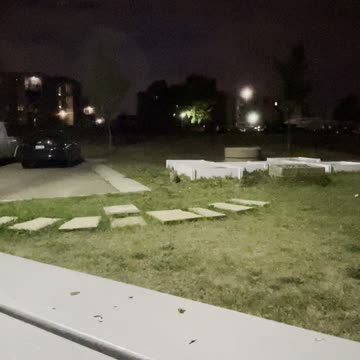 Active rabbit in grass