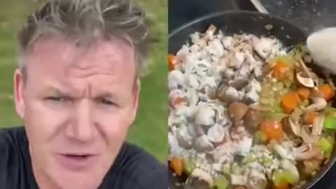 Gordon Ramsay reaction