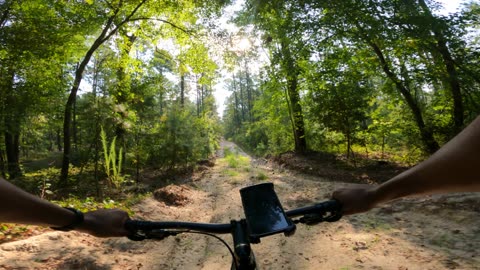 Bumpy Downhill in Thick Woods