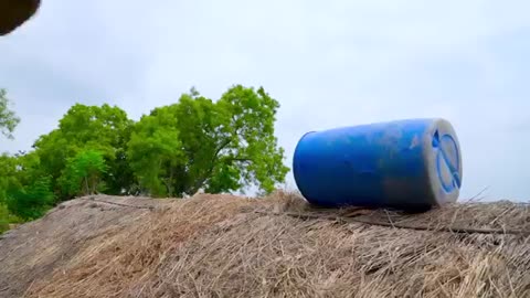 Funny video 2023