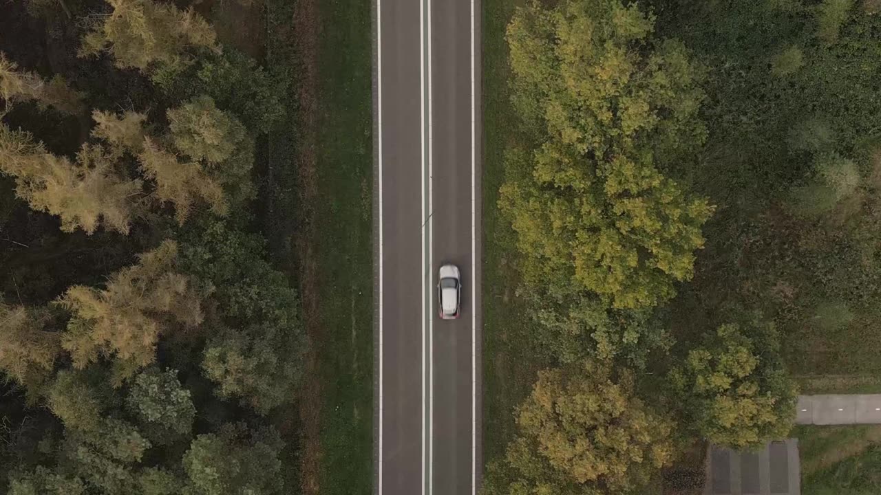 Admire the Beauty of Cars on the Move