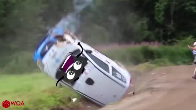 FUNNY VIDEO