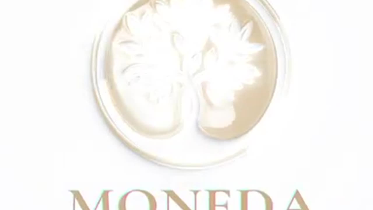 Moneda Capital Group Helps Business Owners Beat Inflation Challenges #monedacapitalgroup #investing