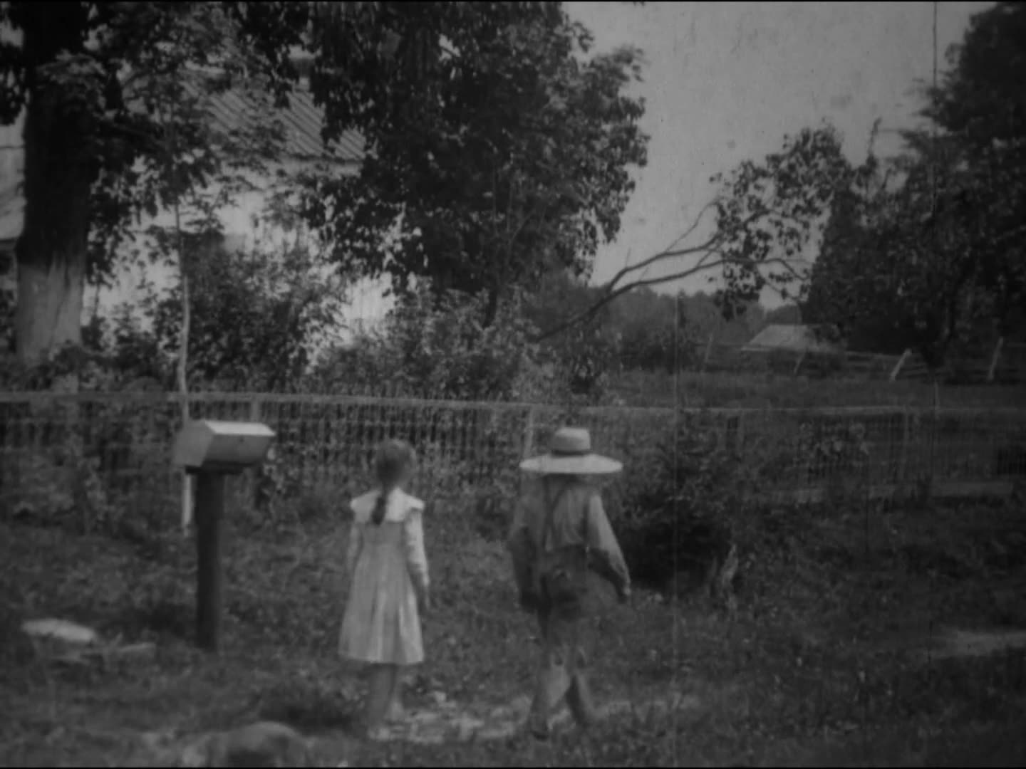 Rural Wagon Delivering Mail, United States Post Office (1903 Original Black & White Film)