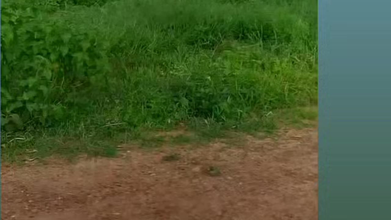 AAJ KA DIN
