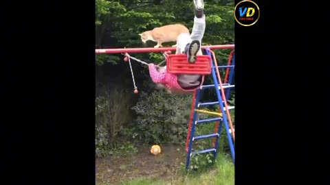 Cat 😺 and dog 🐕 funny videos 😅📸 part 3