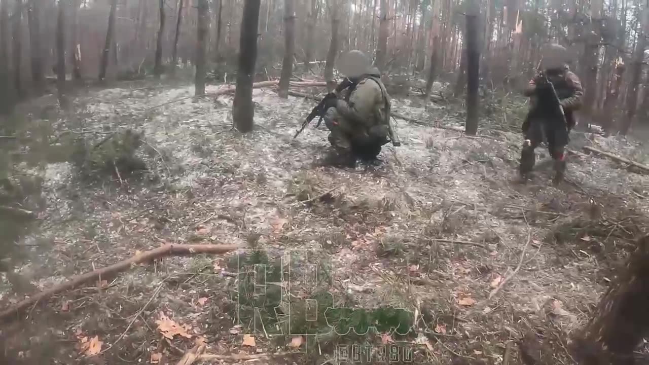 Fights in the forest near Kremennaya