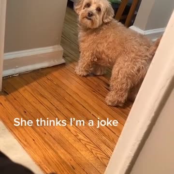 She is all about attitude