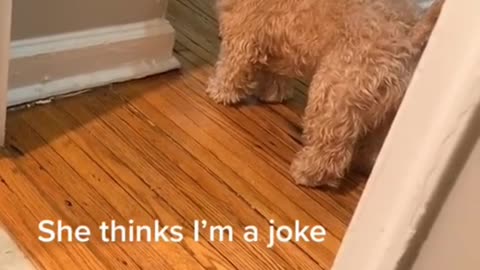 She is all about attitude
