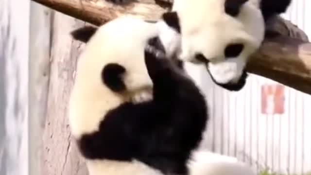 Happy three brothers