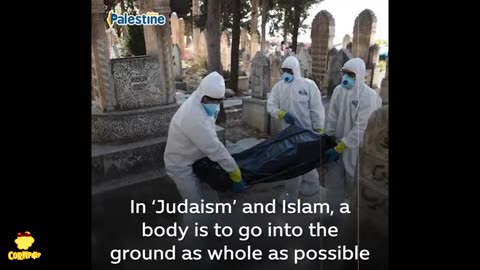 Where does Israel get the skin for it's skin bank?