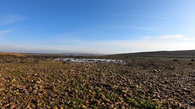 Time.lapse of a river and nature reserve in Lymington.