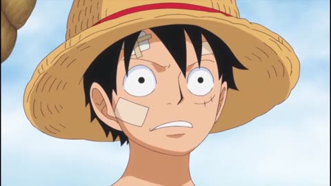 Luffy fleet allaince