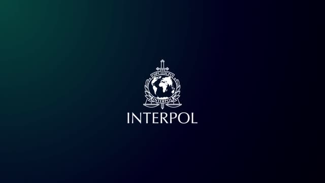What is an INTERPOL Red Notice?