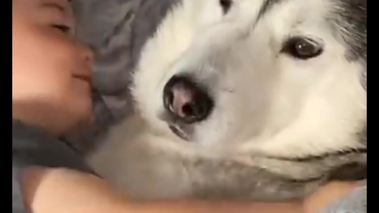 A friend for life