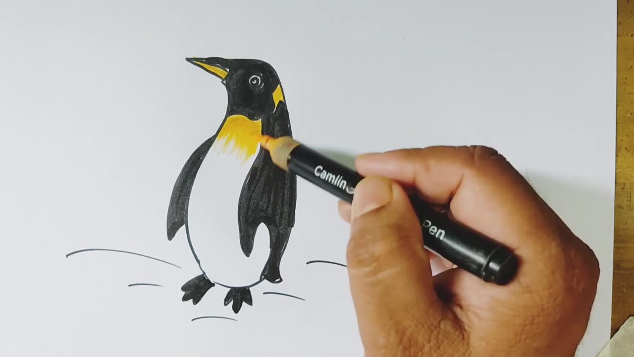 Easy Penguin drawing from-J. J দিয়ে সহজে পেইঙ্গুন আকাঁ শিখুন।