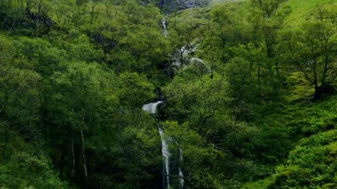 Nature and music