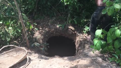 Build underground hidden house in the forest