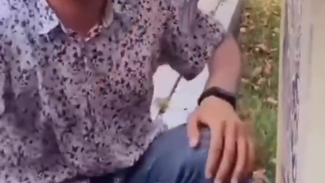 Memes