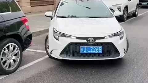 Driving Skills 4