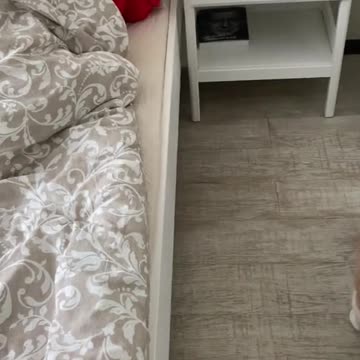 Funny cat😻😻🤣Are you sleeping