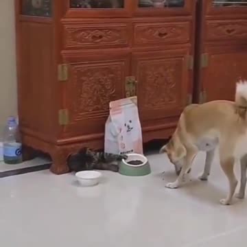 News Break: Smooth Criminal