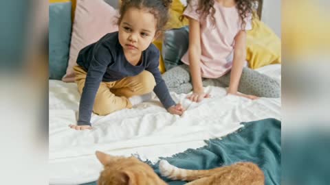 Two lettle baby girl playing with a cute cat