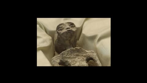 BOMBSHELL ALIEN REVEAL FROM MEXICO: MUCH BIGGER THAN YOU THOUGHT