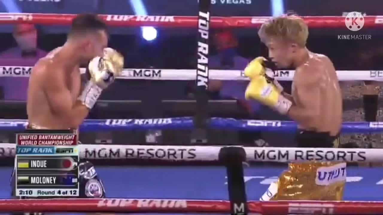 INOUE VS MOLONEY FULL FIGHTS HIGHLIGHTS