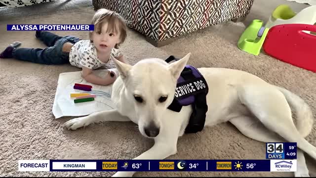 Henderson mother shares struggle to support service dog, family pet