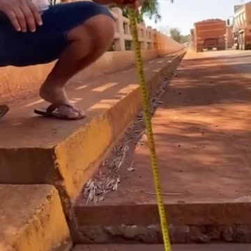 Muito imposto investido em aviões, vinhos e lagostas