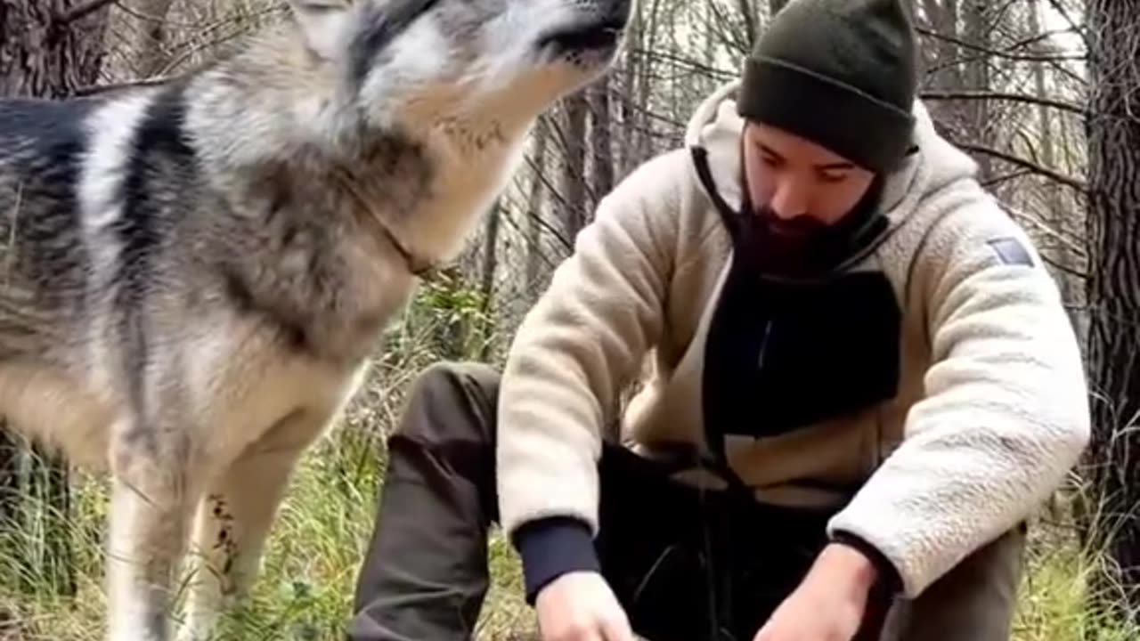 Wolf man