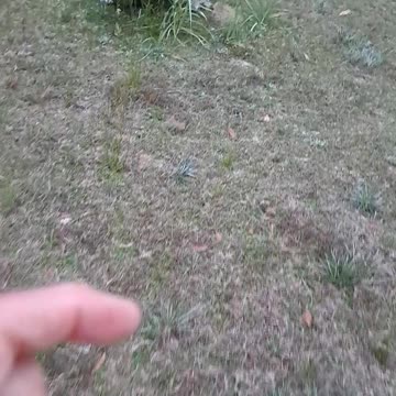 Flags that mean the most to all of us as Americans. 3/9/24 Fl