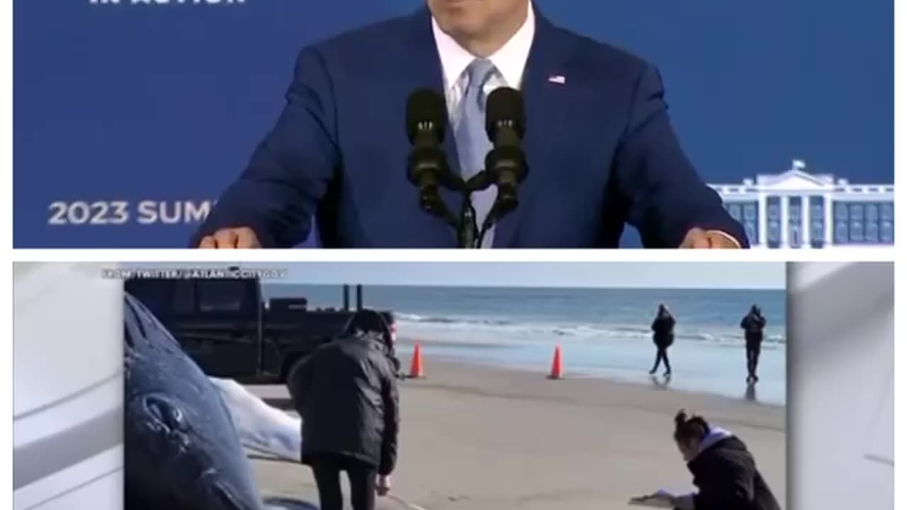 Biden's attempt to harness the tremendous power of the ocean, another beached whale.