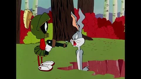 The Hasty Hare