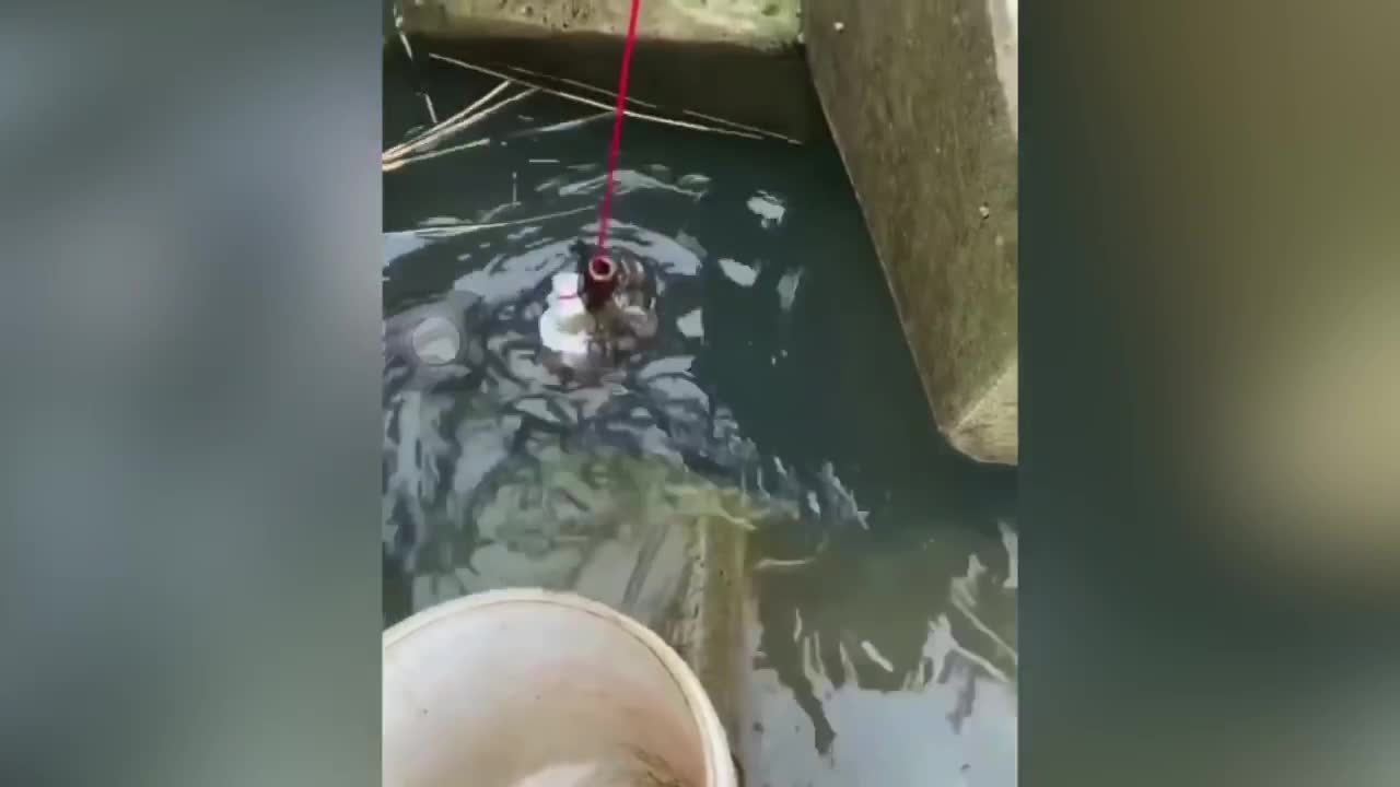 The adventure to catch crab!!