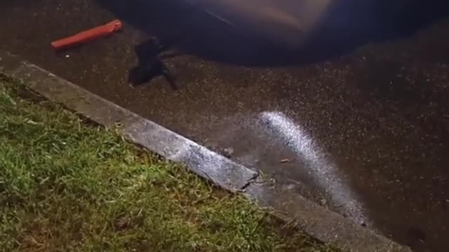 Front Bumper Comes Off While Backing Out