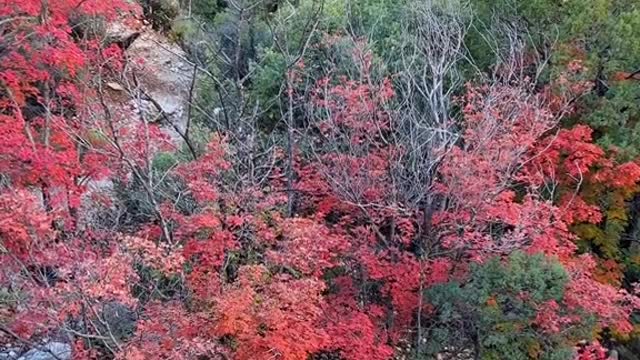 Would you believe this is。Texas ?