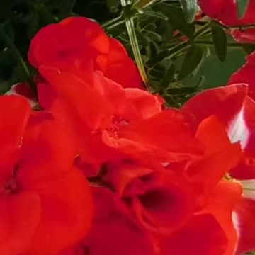 Transform Your Mood: How Relaxing This is Volume 116v1