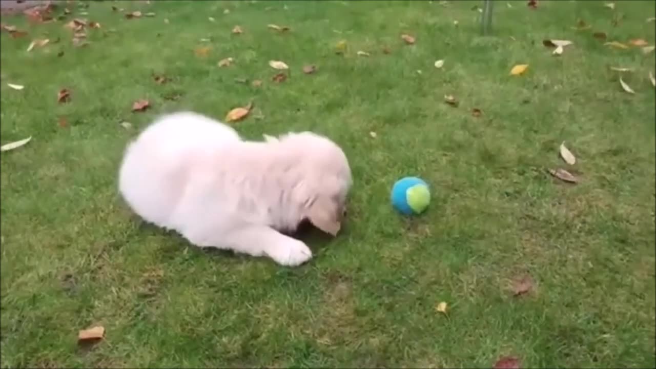 Episode 8 - Cannot stop laughing