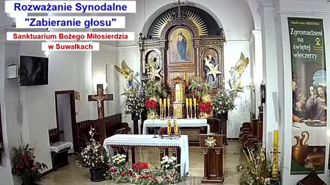 Rozważania Synodalne - Zabieranie głosu